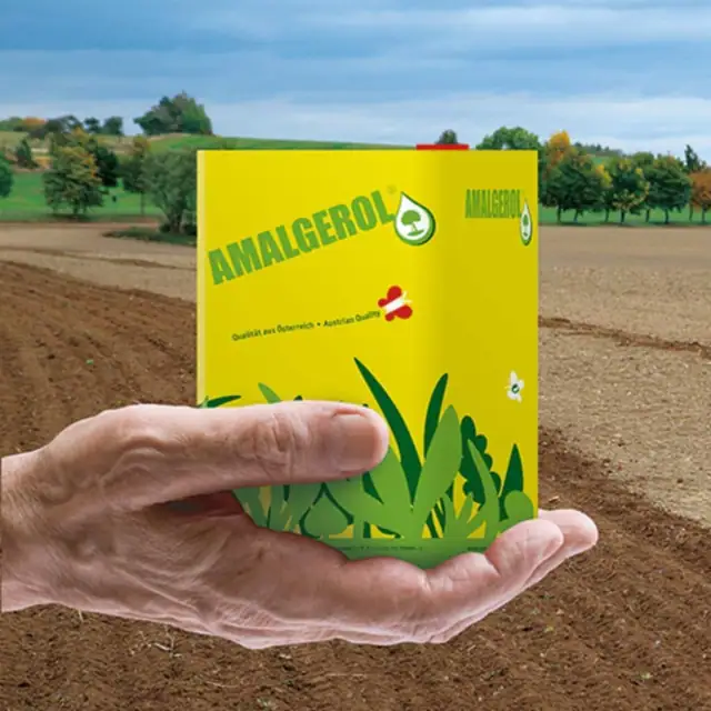 Metszeni szükséges – Tápanyag-utánpótlás