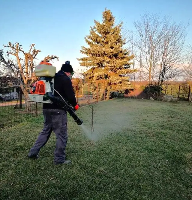Metszeni szükséges – Permetezés és biológiai védekezés