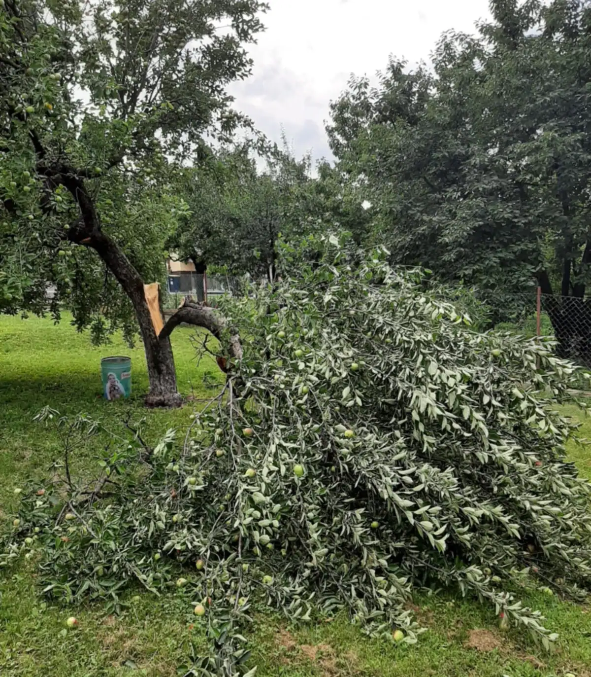 Eseti megbízás – Vészhelyzeti helyreállítás
